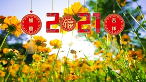 2021新年快乐