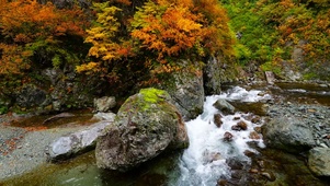 红叶山谷溪流