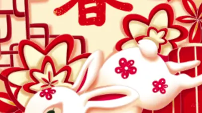 红色喜庆中国风兔年新年春节