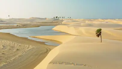 沙漠小溪